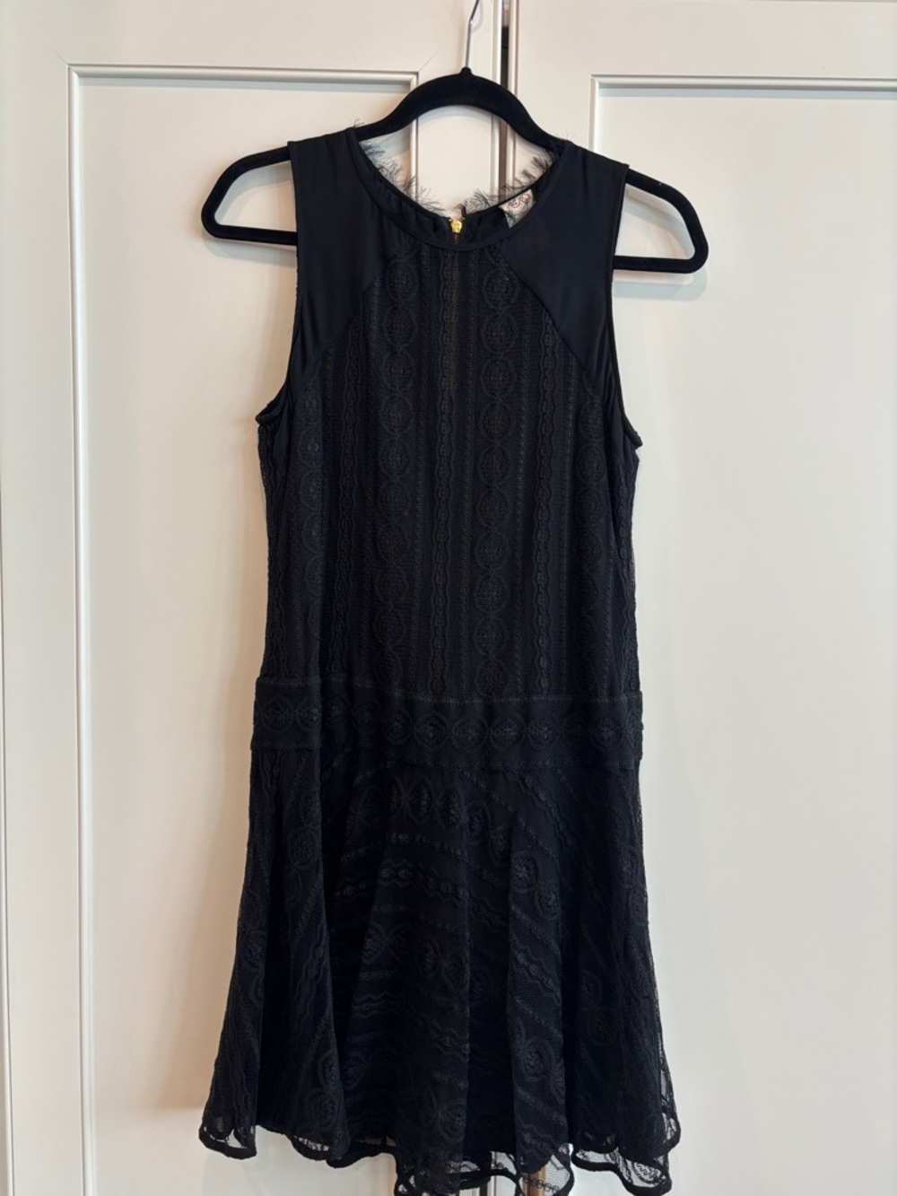Ali Ro Black Lace A-Line Sleeveless Mini Dress